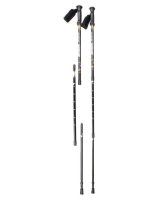 Trekové hole Silvester a Lorenzi fotka 1897