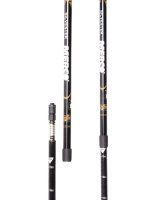 Trekové hole Silvester a Lorenzi fotka 1895